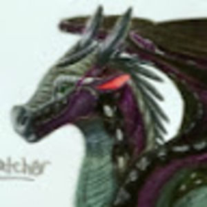 Meet your Posher, Meaghan